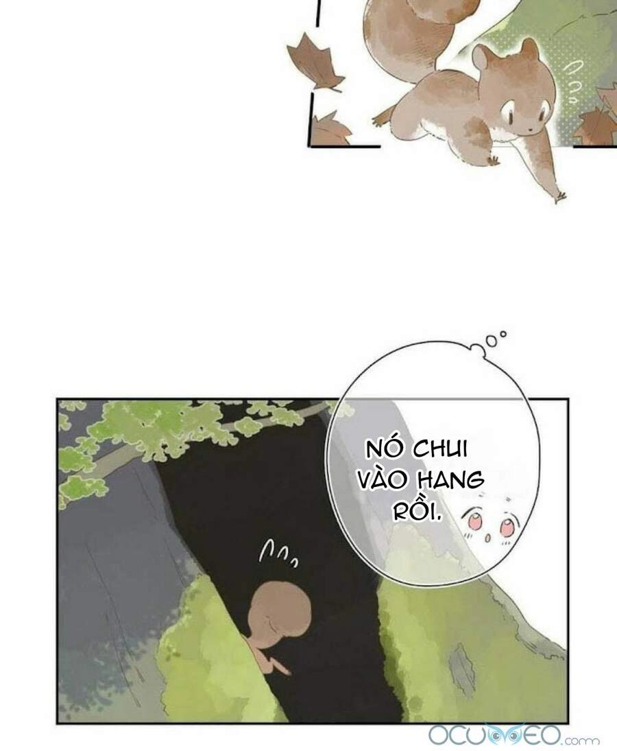 Sos! Tôi Đã Yêu Một Con Sâu Bướm (Phần 2) Chapter 12 - 21