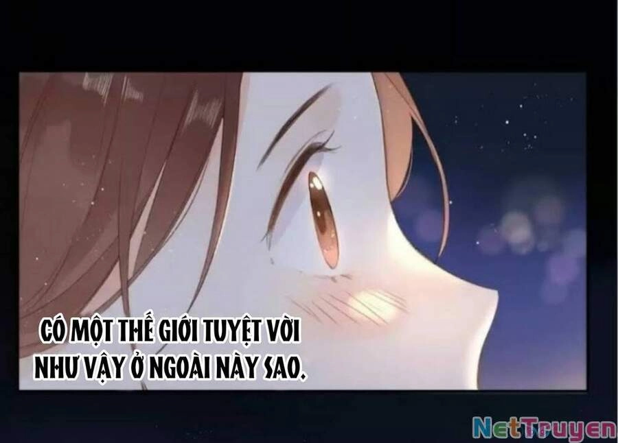 Sos! Tôi Đã Yêu Một Con Sâu Bướm (Phần 2) Chapter 15 - 22