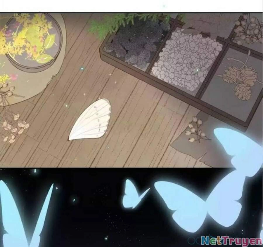 Sos! Tôi Đã Yêu Một Con Sâu Bướm (Phần 2) Chapter 15 - 46