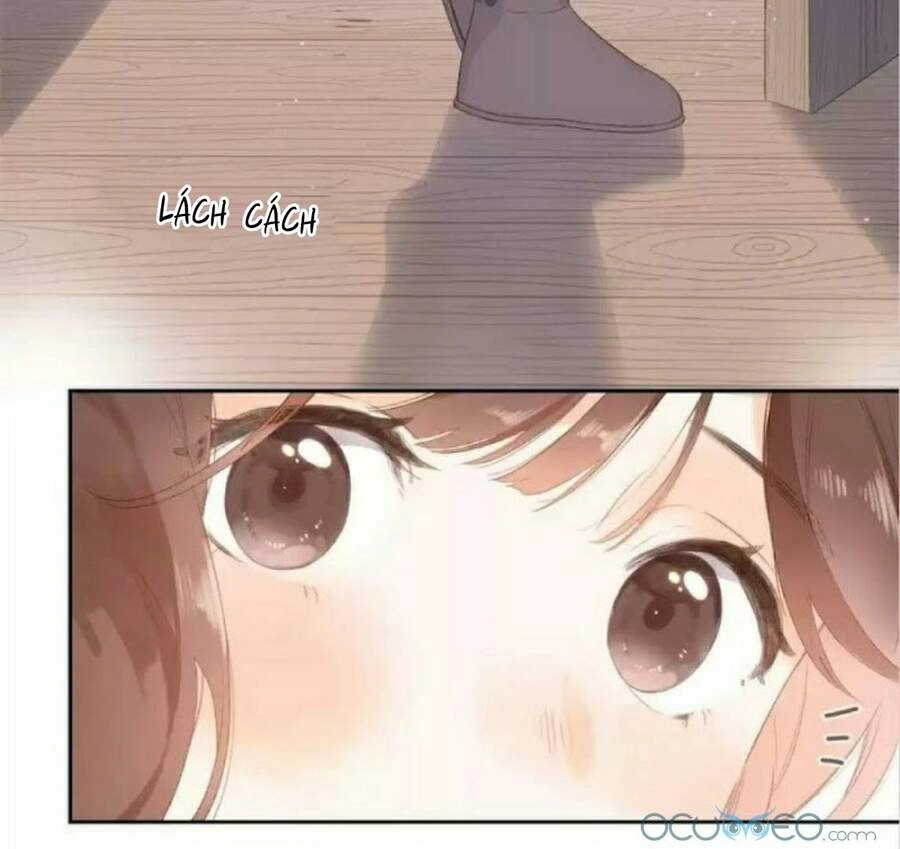 Sos! Tôi Đã Yêu Một Con Sâu Bướm (Phần 2) Chapter 17 - 5