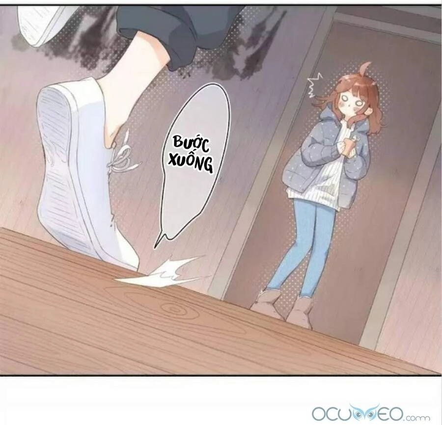 Sos! Tôi Đã Yêu Một Con Sâu Bướm (Phần 2) Chapter 17 - 15