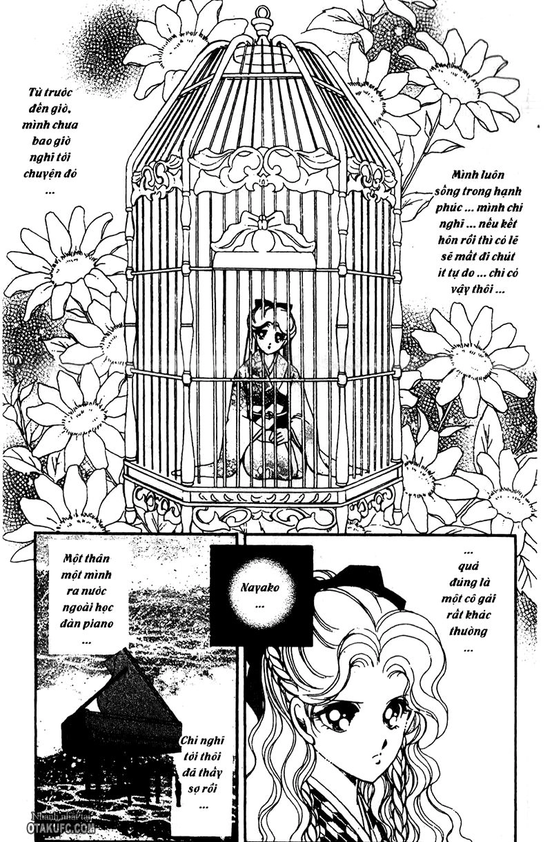 Khúc Tình Ca Ban Mai Chapter 12 - 11