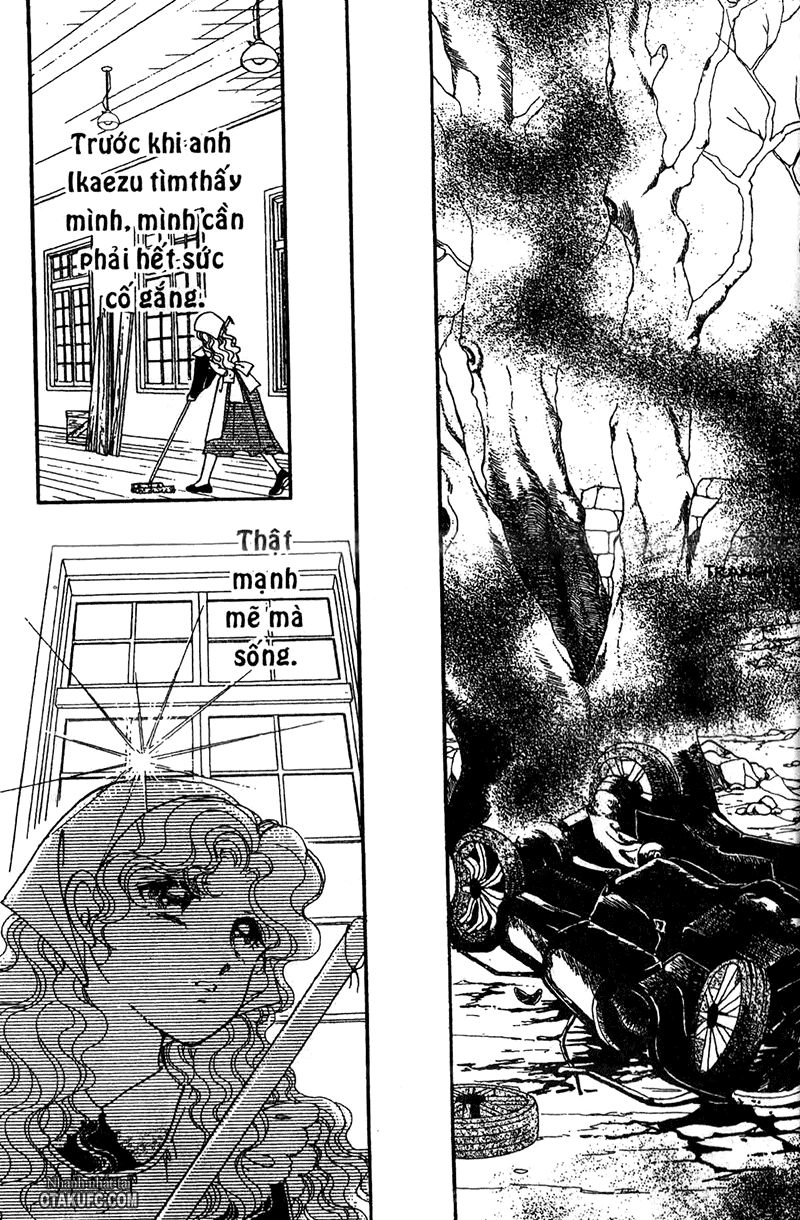 Khúc Tình Ca Ban Mai Chapter 51 - 11