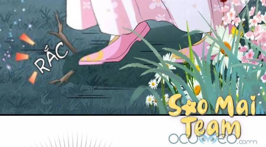 Long Vương Truy Thê Chapter 6 - 19