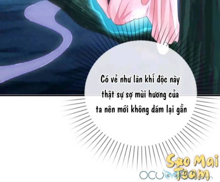 Long Vương Truy Thê Chapter 7 - 13