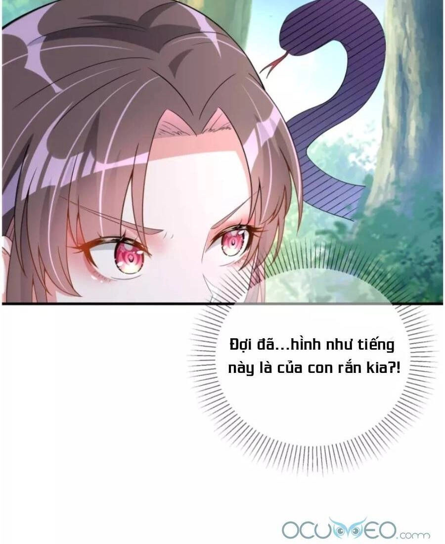 Long Vương Truy Thê Chapter 8 - 26