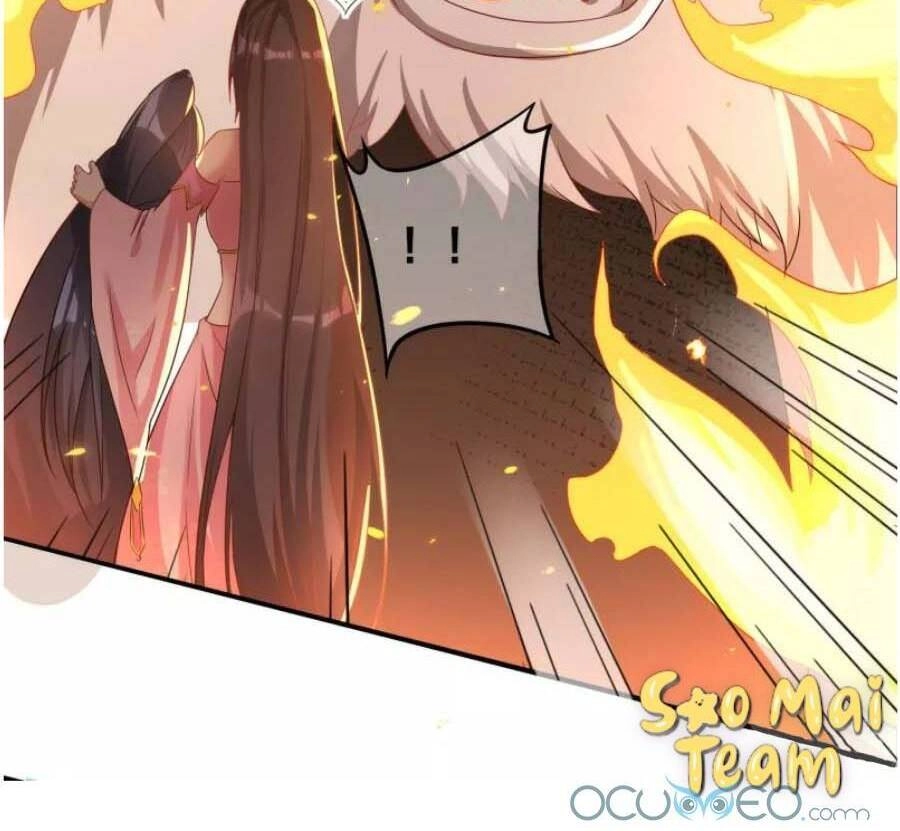 Long Vương Truy Thê Chapter 10 - 5