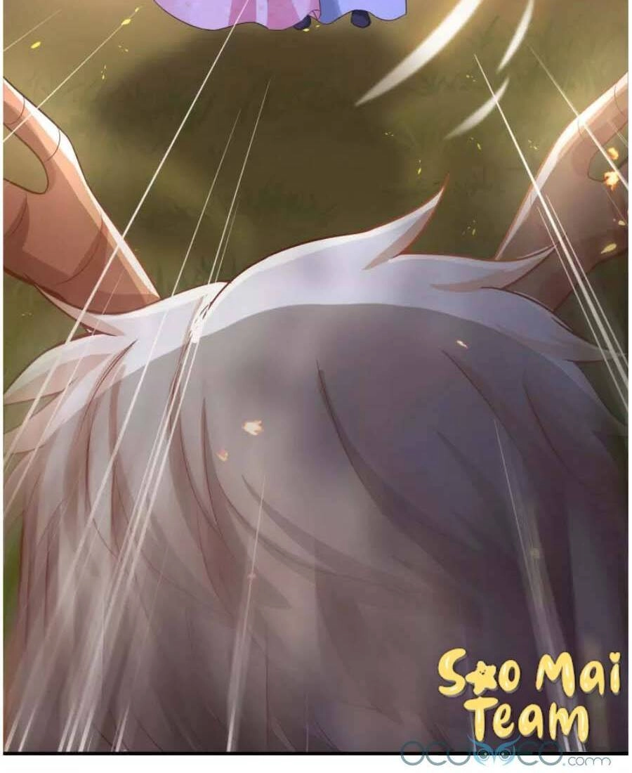 Long Vương Truy Thê Chapter 10 - 8