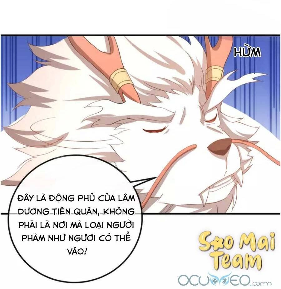 Long Vương Truy Thê Chapter 10 - 14