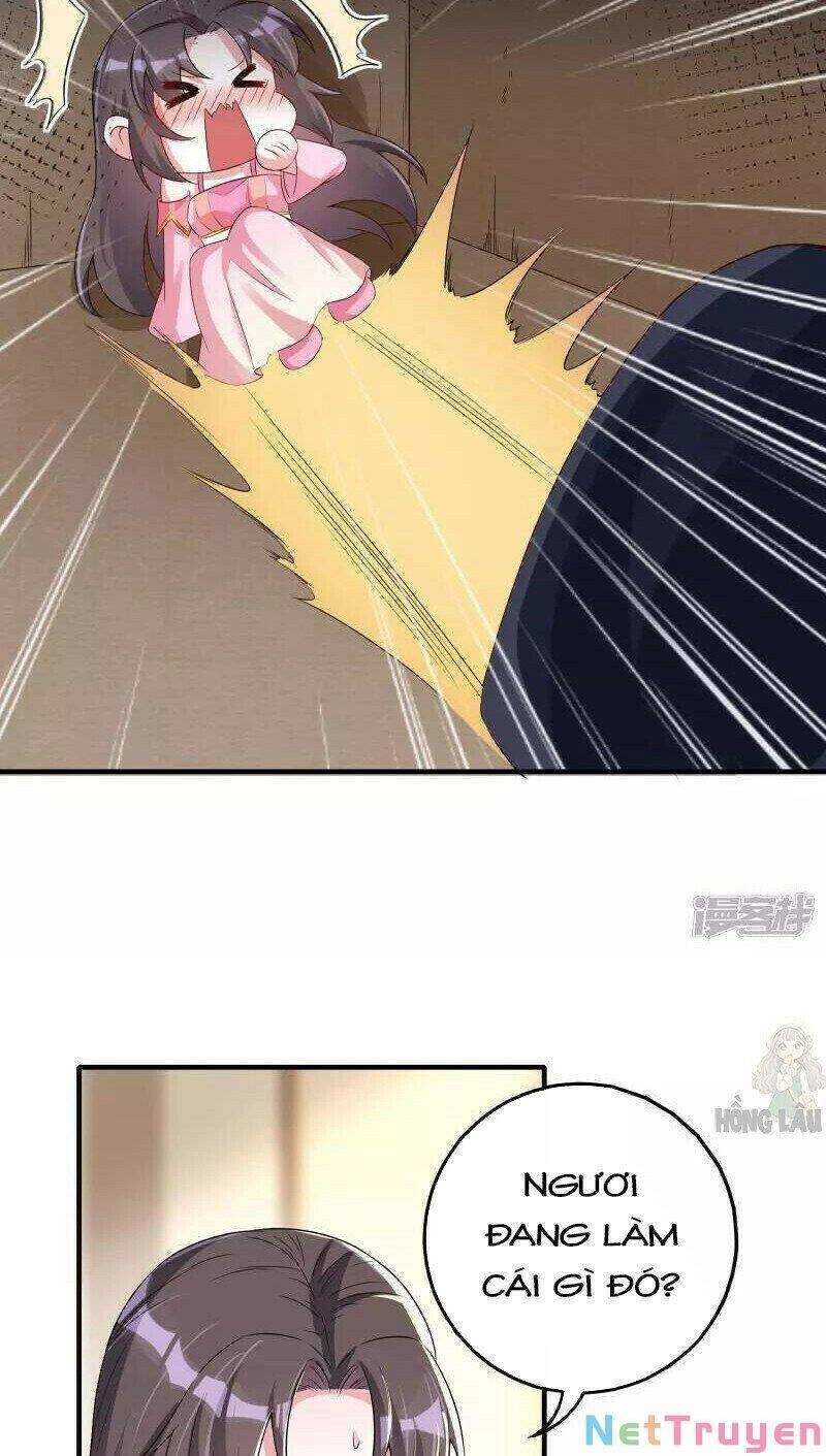 Long Vương Truy Thê Chapter 12 - 5