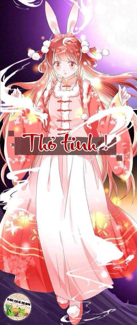 Hắc Hóa Nam Chính Trực Tuyến Nuôi Thỏ Chapter 1 - 3