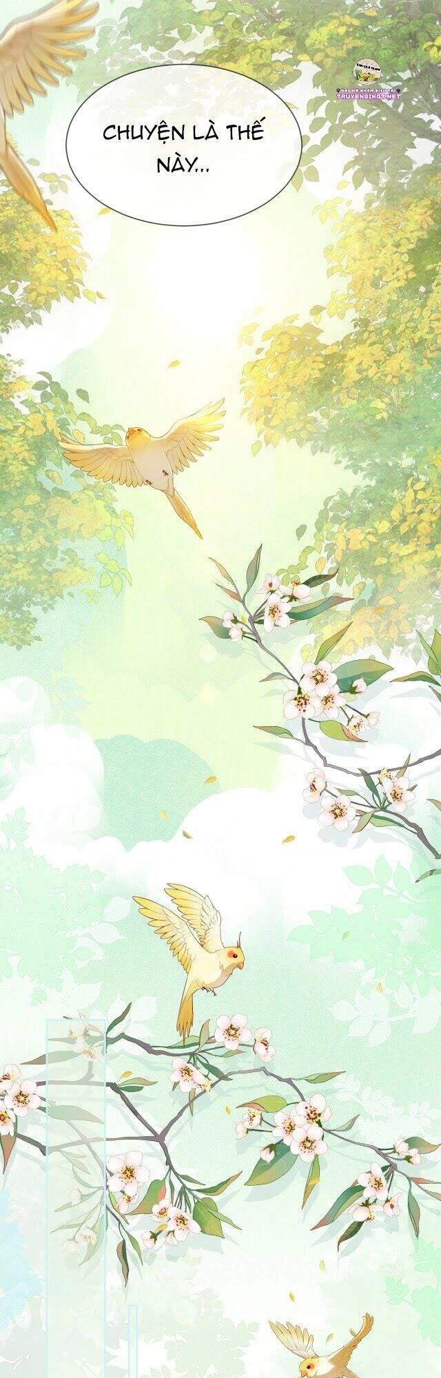 Hắc Hóa Nam Chính Trực Tuyến Nuôi Thỏ Chapter 13 - 21