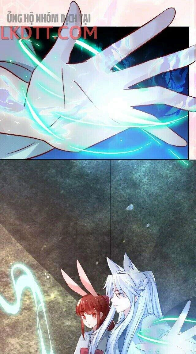 Hắc Hóa Nam Chính Trực Tuyến Nuôi Thỏ Chapter 26 - 11