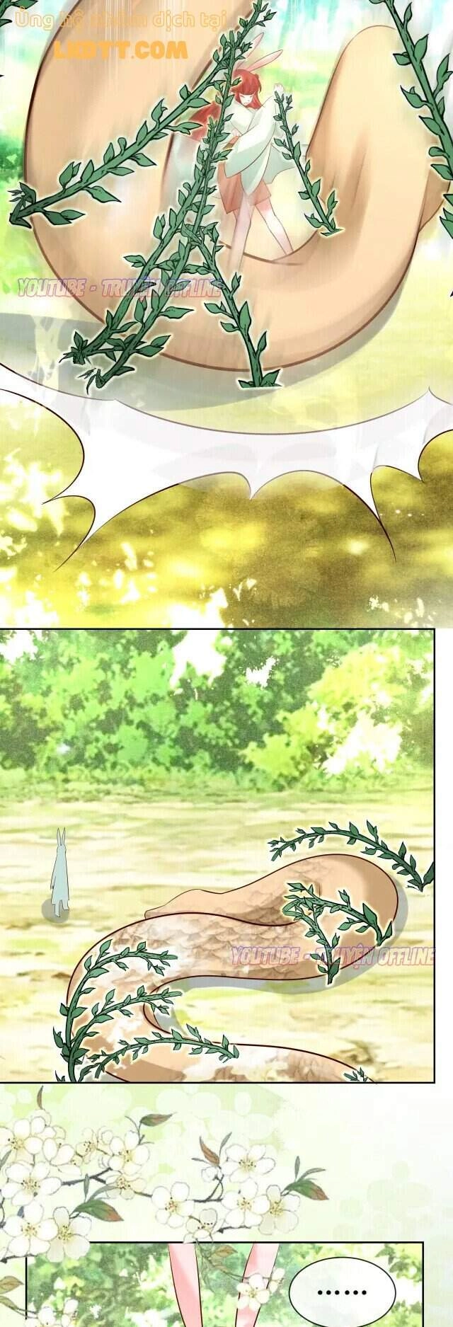 Hắc Hóa Nam Chính Trực Tuyến Nuôi Thỏ Chapter 30 - 18