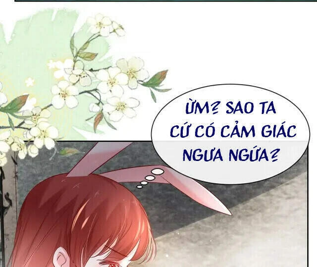 Hắc Hóa Nam Chính Trực Tuyến Nuôi Thỏ Chapter 31 - 27