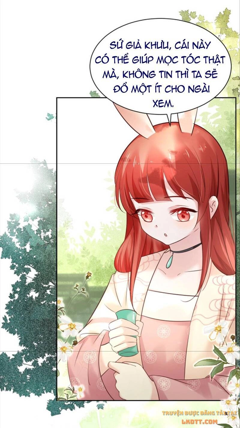 Hắc Hóa Nam Chính Trực Tuyến Nuôi Thỏ Chapter 47 - 13