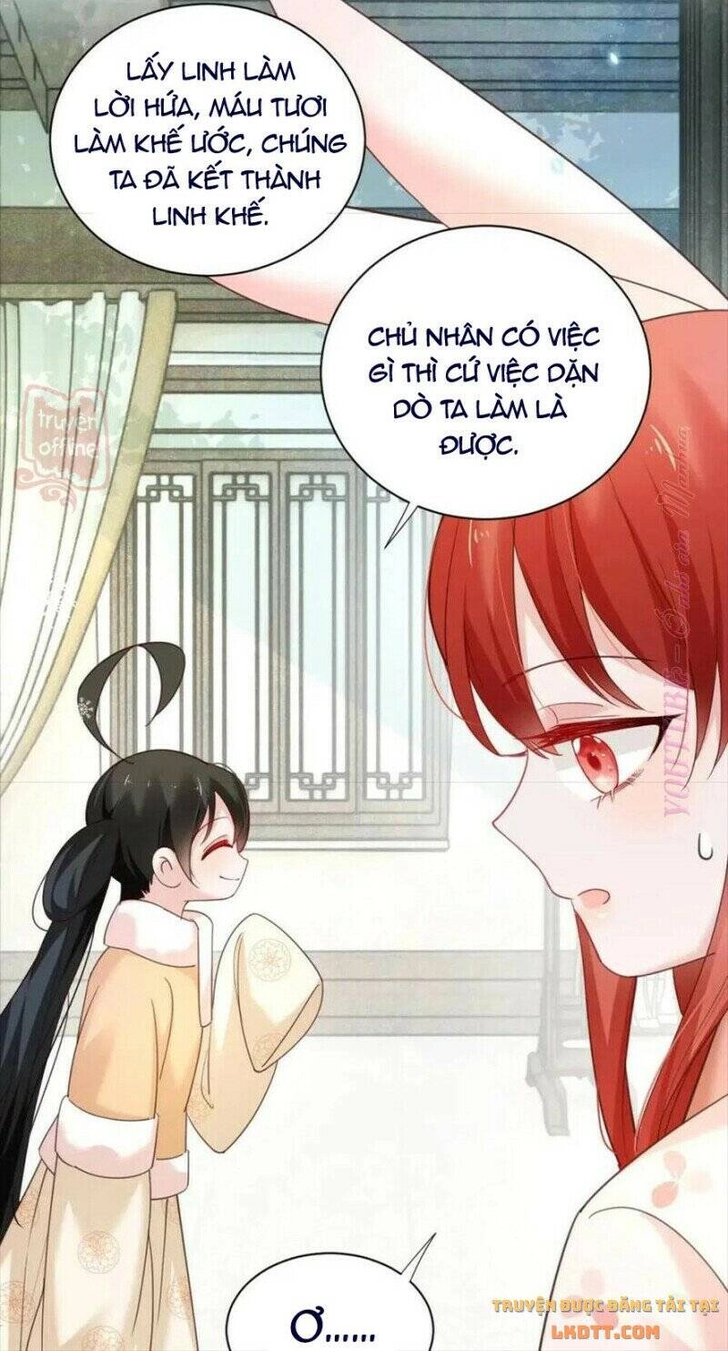 Hắc Hóa Nam Chính Trực Tuyến Nuôi Thỏ Chapter 55 - 12