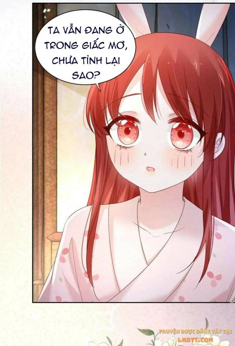 Hắc Hóa Nam Chính Trực Tuyến Nuôi Thỏ Chapter 59 - 29