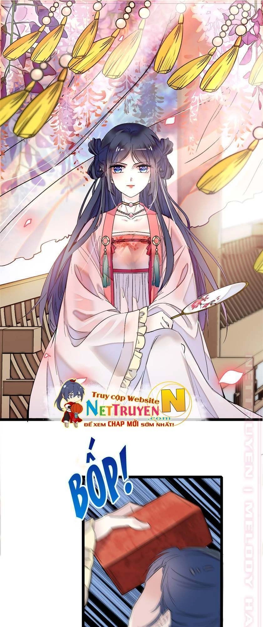 Tự Cẩm Chapter 6 - 3