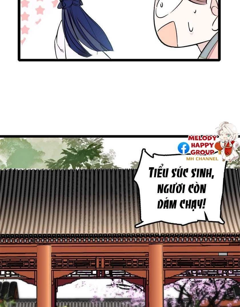 Tự Cẩm Chapter 7 - 12