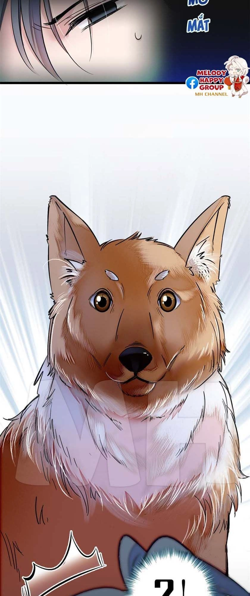 Tự Cẩm Chapter 11 - 33