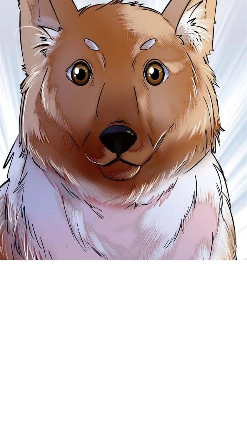 Tự Cẩm Chapter 11 - 40