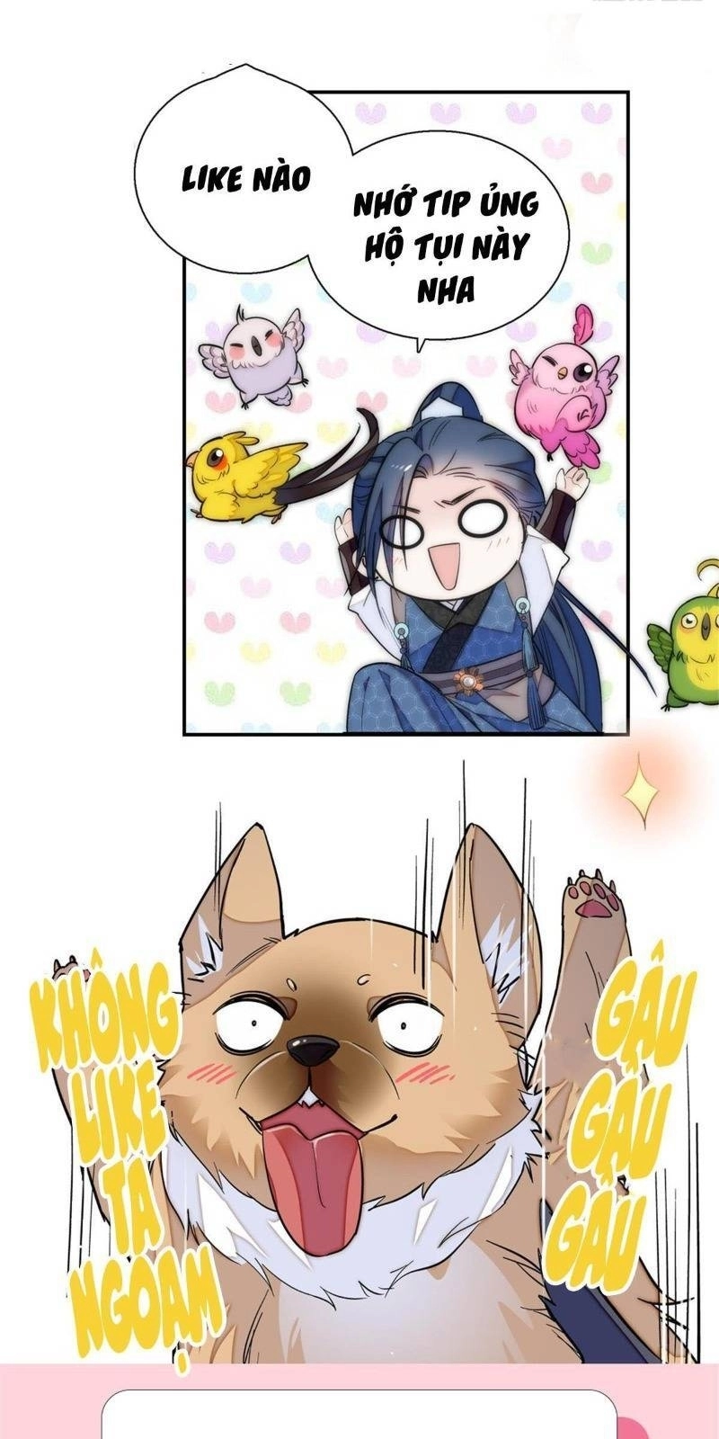 Tự Cẩm Chapter 21 - 48