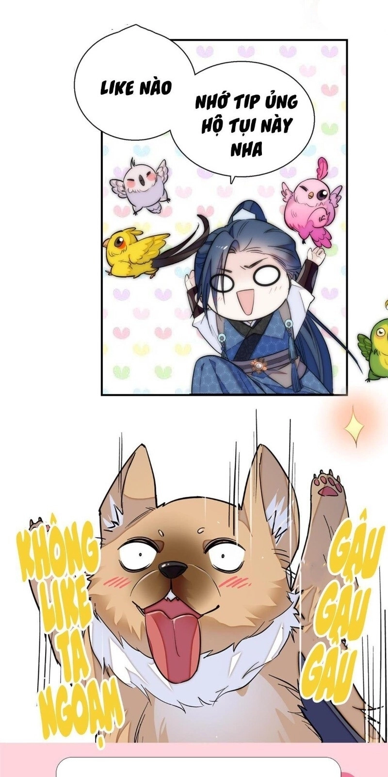 Tự Cẩm Chapter 22 - 64