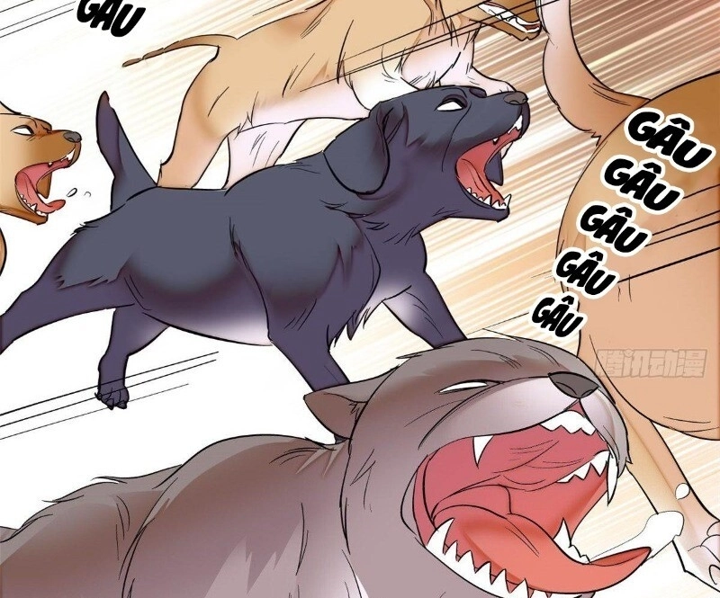 Tự Cẩm Chapter 23 - 72