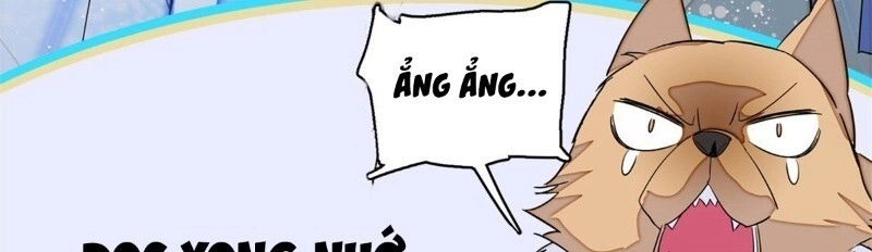 Tự Cẩm Chapter 23 - 80