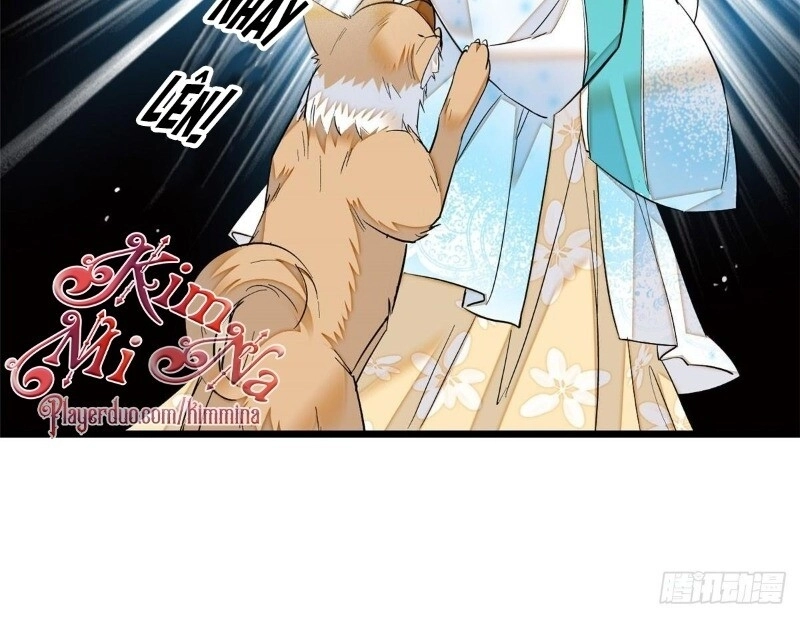 Tự Cẩm Chapter 25 - 21