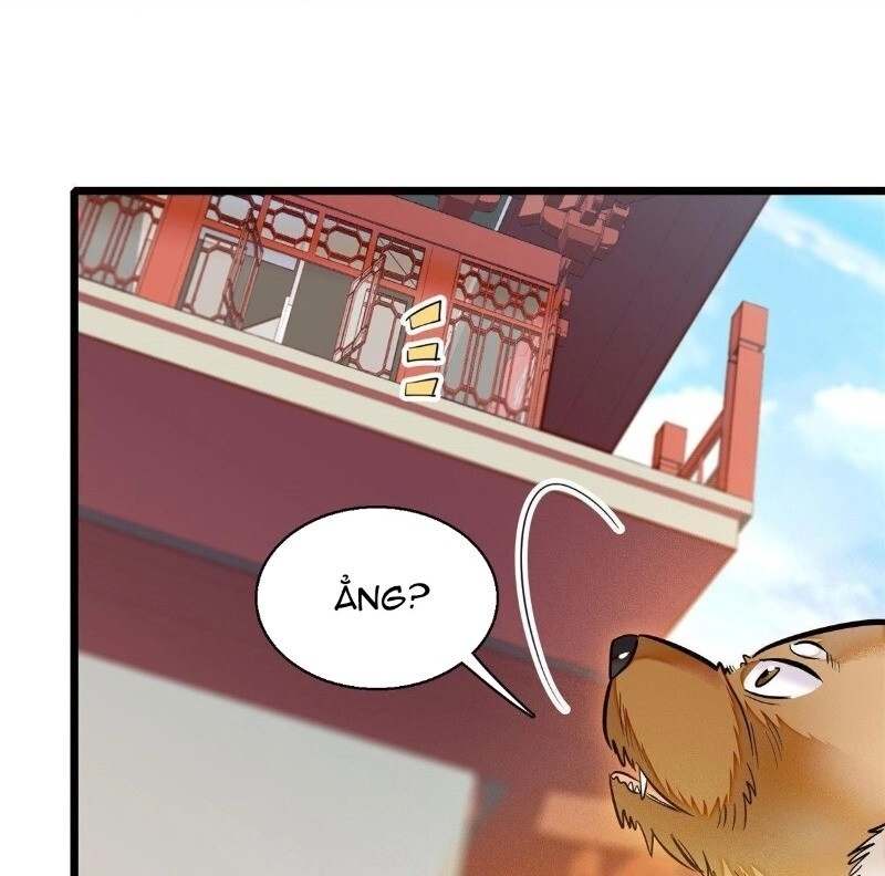 Tự Cẩm Chapter 35 - 19