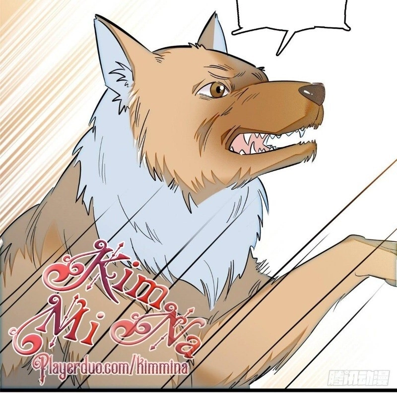 Tự Cẩm Chapter 35 - 38