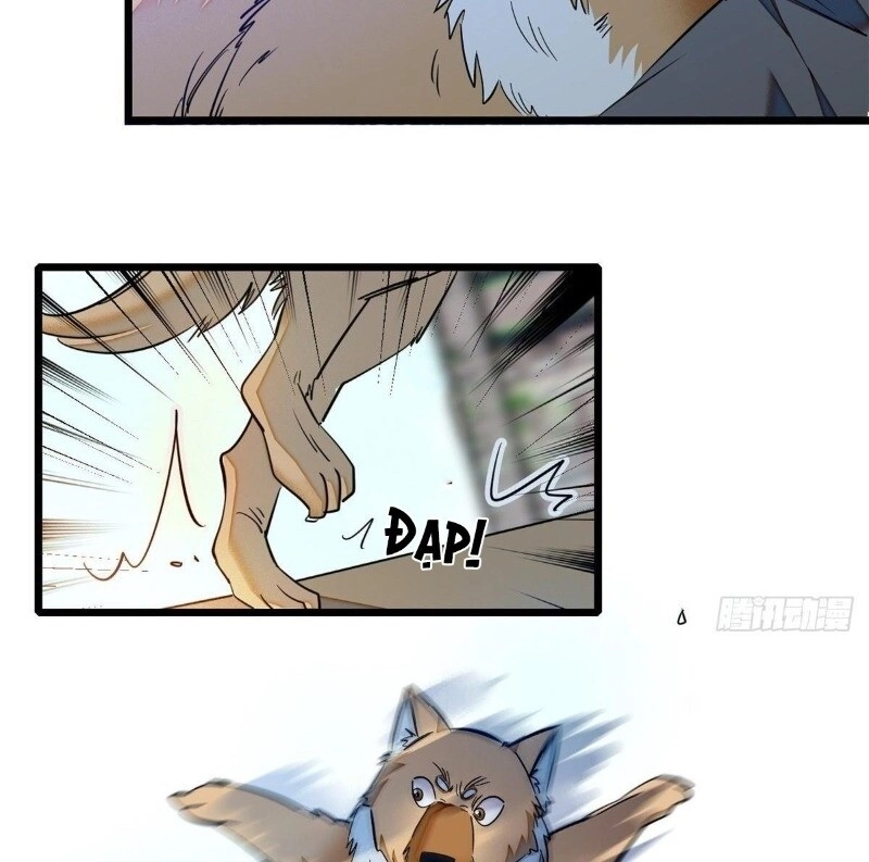 Tự Cẩm Chapter 35 - 42