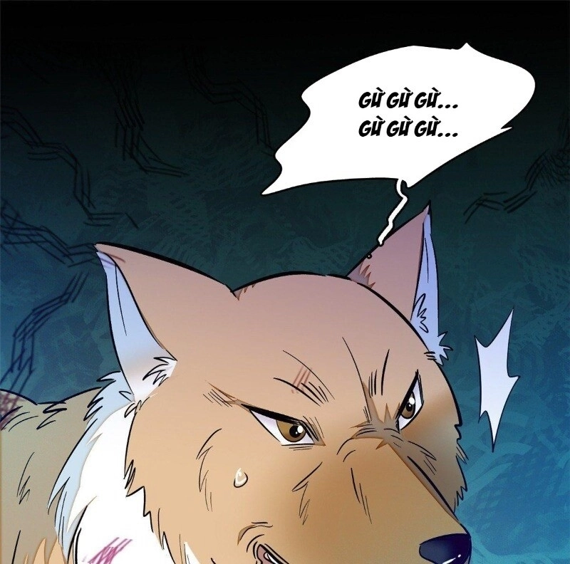 Tự Cẩm Chapter 35 - 54