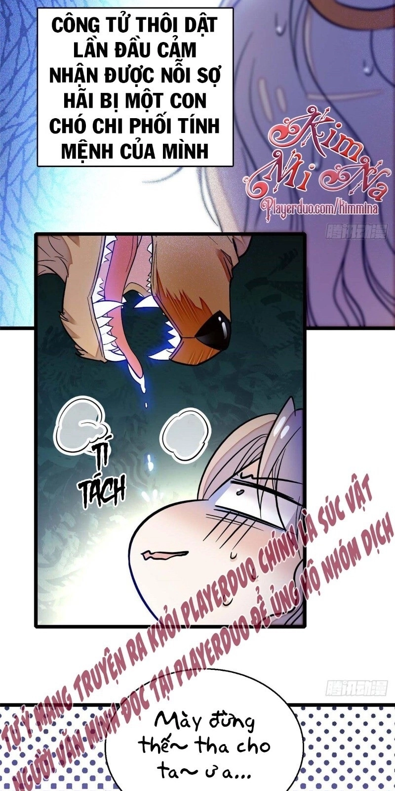 Tự Cẩm Chapter 36 - 5