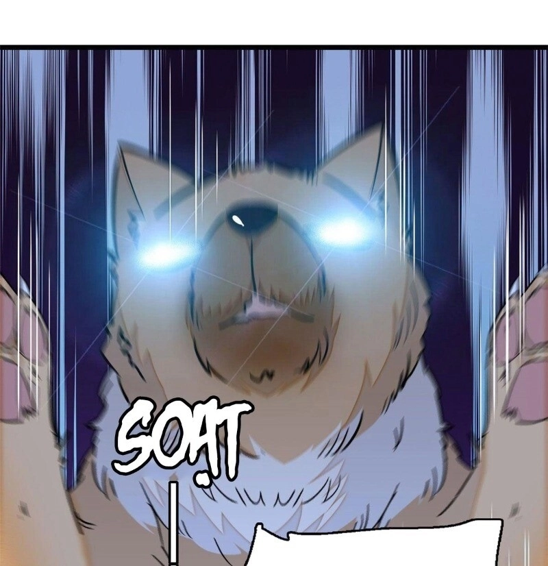 Tự Cẩm Chapter 37 - 20