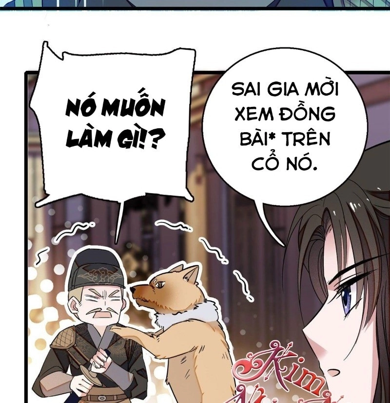 Tự Cẩm Chapter 37 - 22