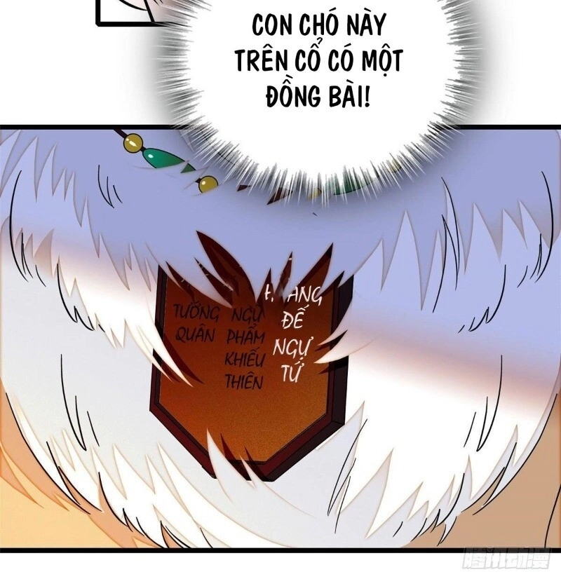 Tự Cẩm Chapter 37 - 27