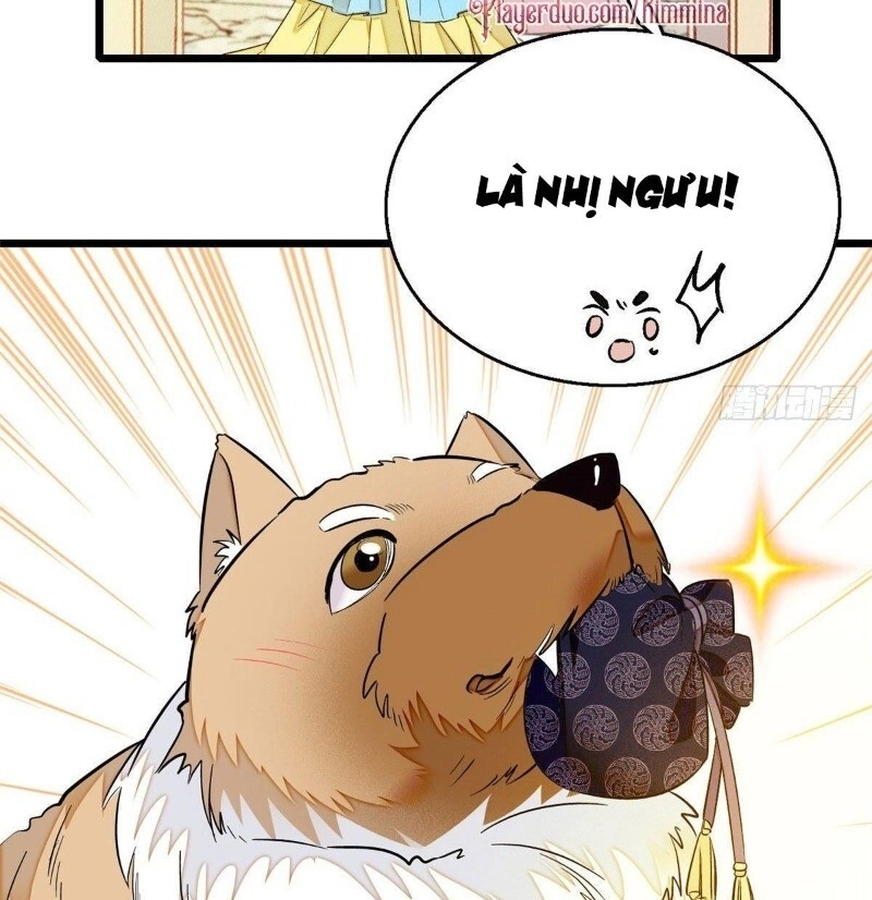 Tự Cẩm Chapter 37 - 53