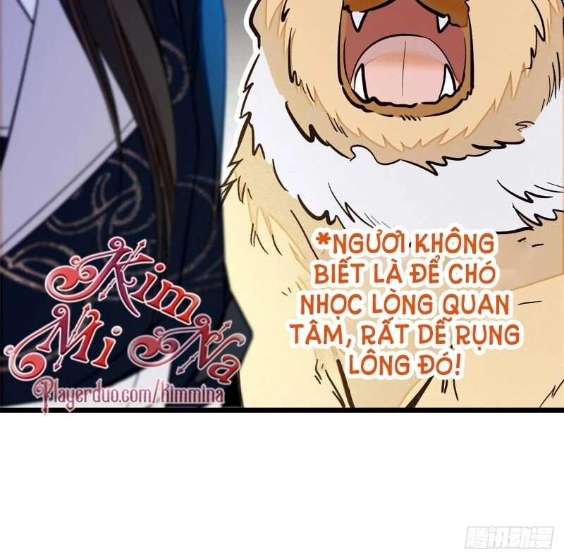 Tự Cẩm Chapter 38 - 13