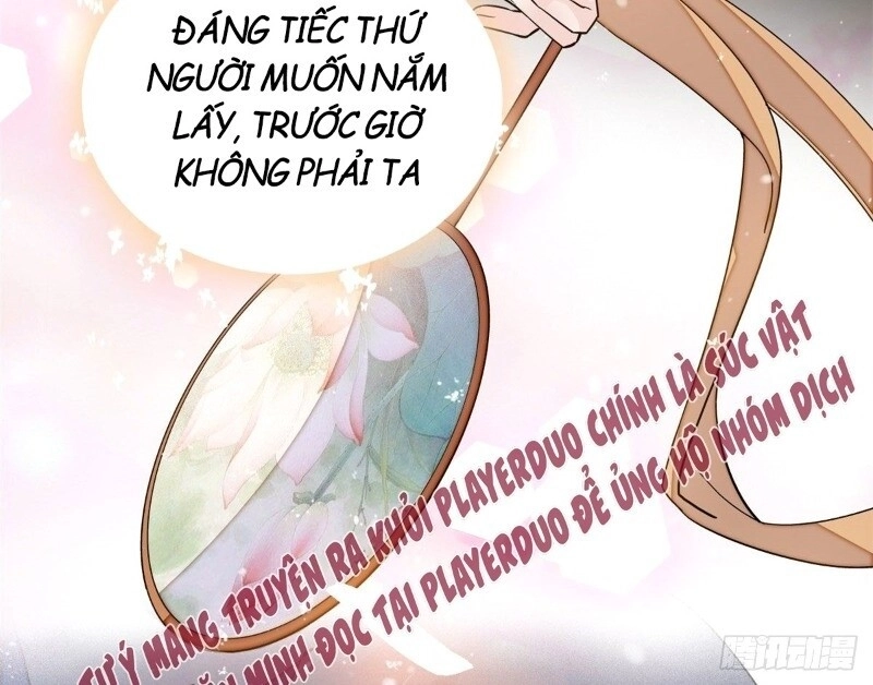 Tự Cẩm Chapter 40 - 85