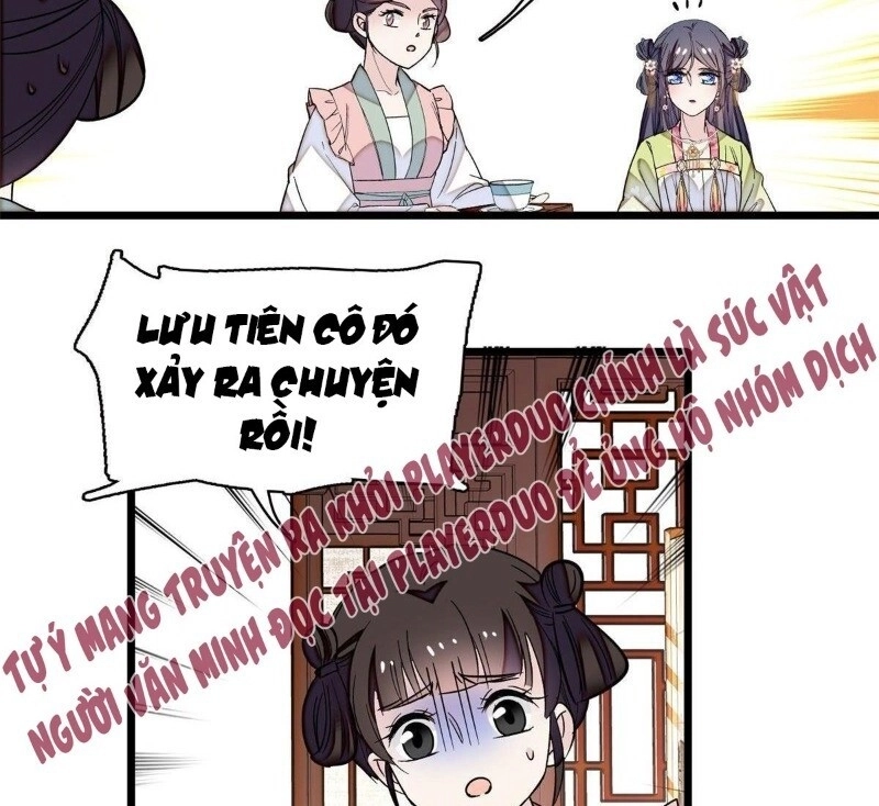 Tự Cẩm Chapter 41 - 37