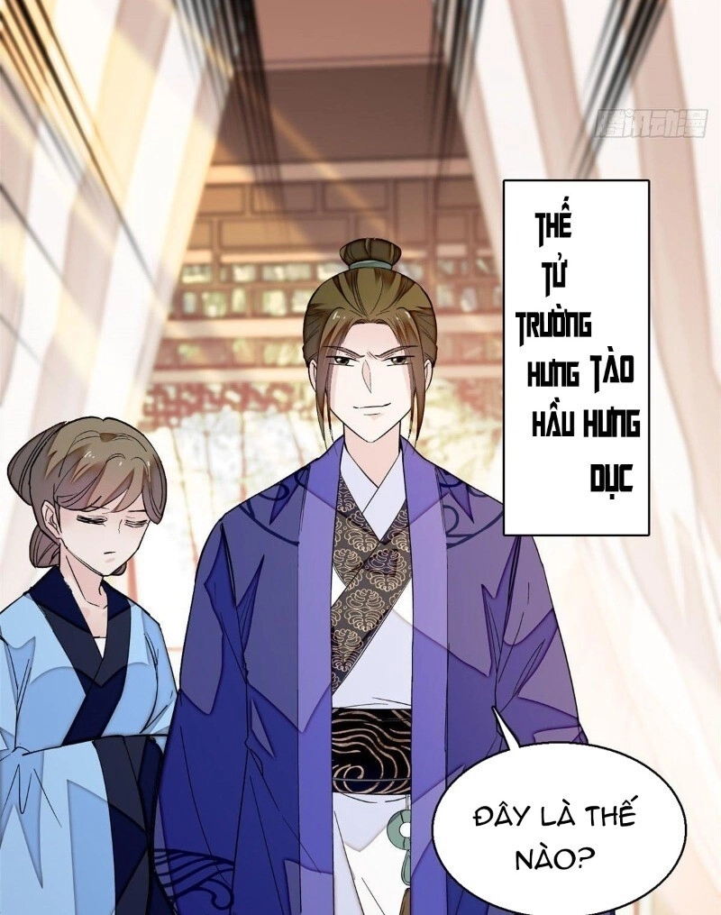 Tự Cẩm Chapter 43 - 56