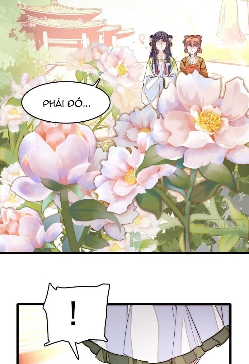 Tự Cẩm Chapter 43 - 71