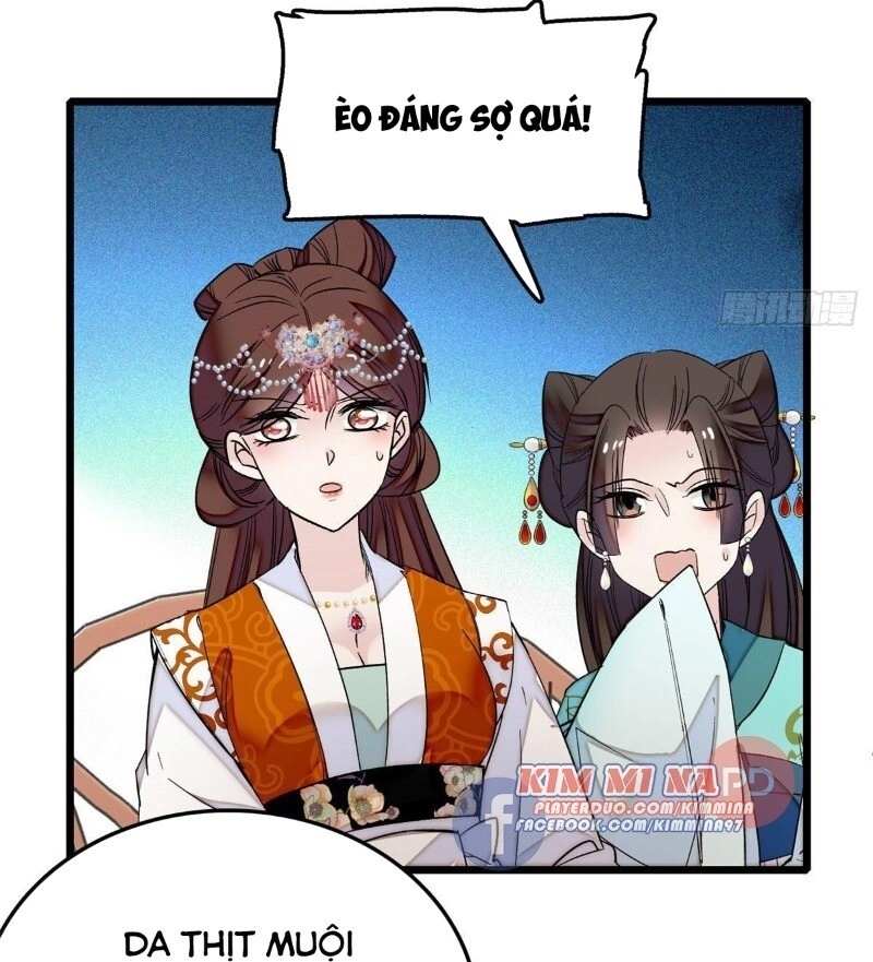 Tự Cẩm Chapter 48 - 3