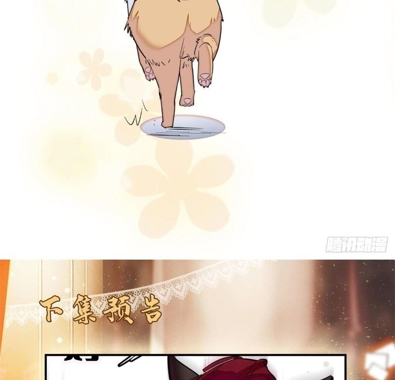 Tự Cẩm Chapter 48 - 63