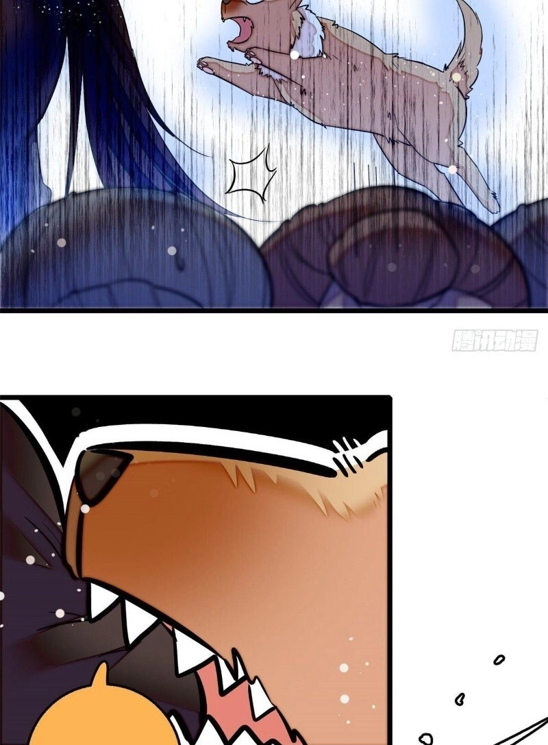 Tự Cẩm Chapter 49 - 20