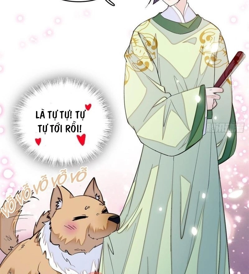 Tự Cẩm Chapter 51 - 21