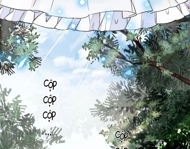 Tự Cẩm Chapter 70 - 20